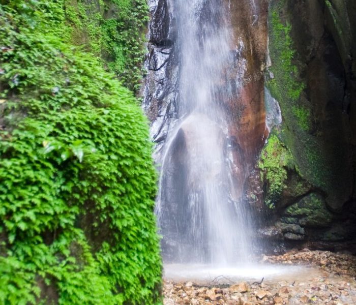 Gombe Stream National Park1