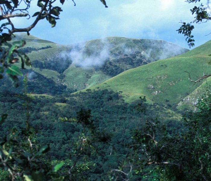 Gombe Stream National Park2