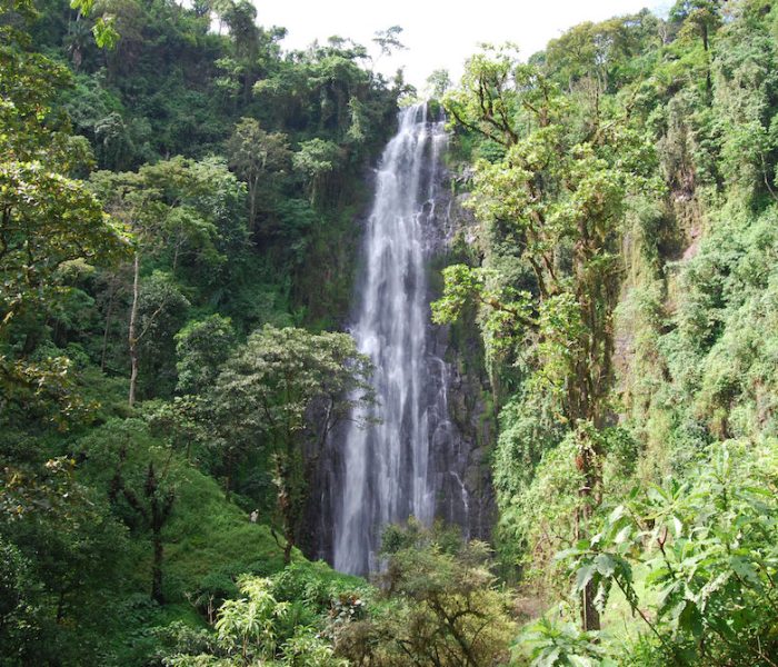 Materuni Waterfall & Coffee Tour2