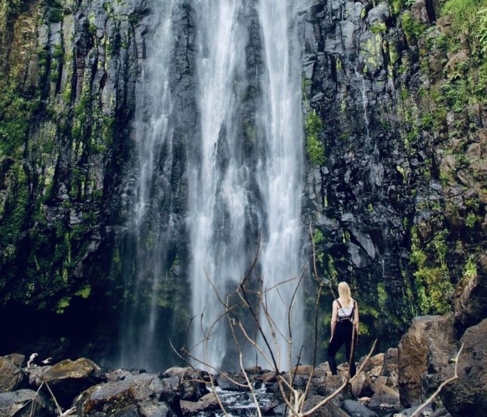 Materuni Waterfall & Coffee Tour4