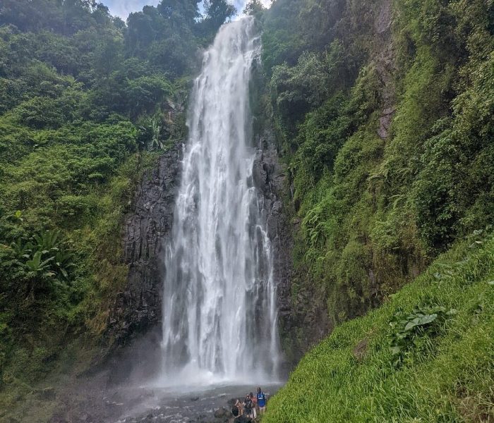 Materuni Waterfall & Coffee Tour9