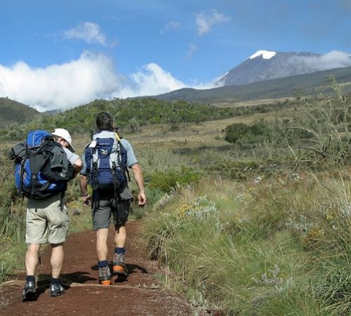 Mount Kilimanjaro Day Hike