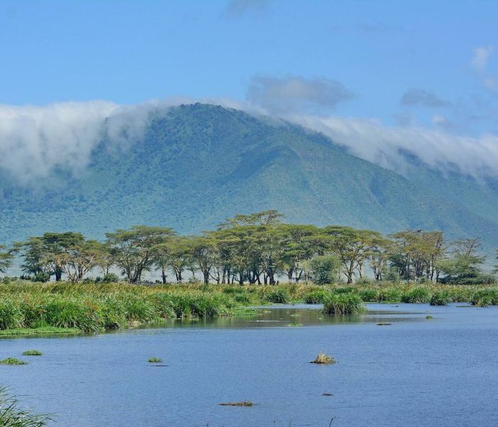 Ngorongoro Crater day trip