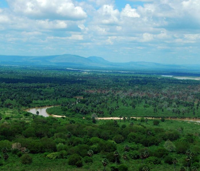 Nyerere National Park12