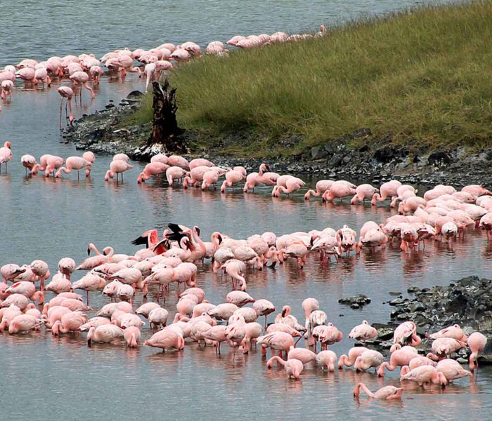 Arusha National Park3