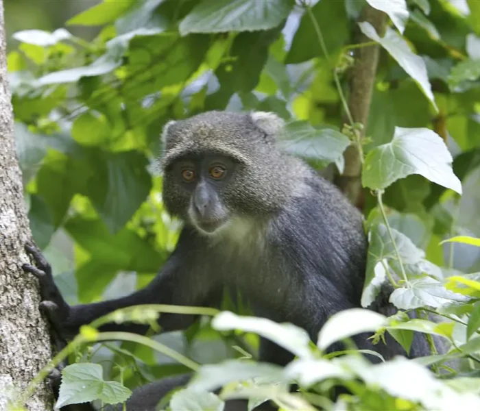 Arusha National Park4