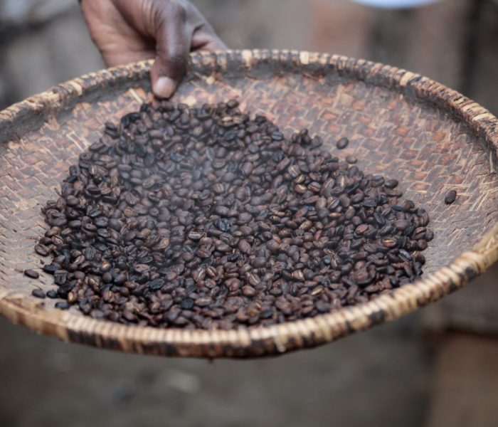 Materuni Coffee Tour