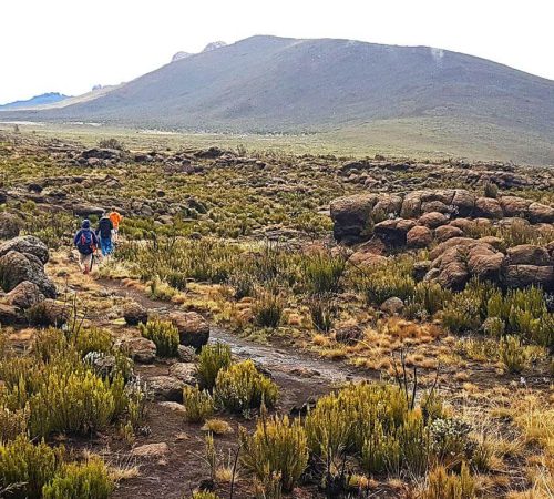 Mount Kilimanjaro Day Hike2