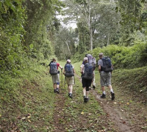 Mount Kilimanjaro Day Hike32