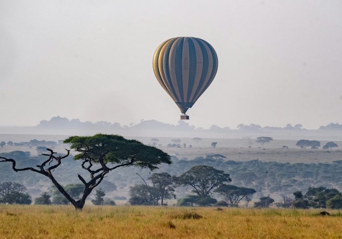 Serengeti National Park35