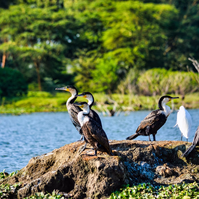 Tarangire National Park13