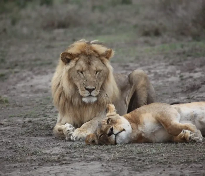 Tarangire National Park35